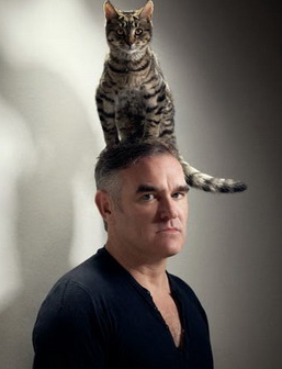 Morrissey 