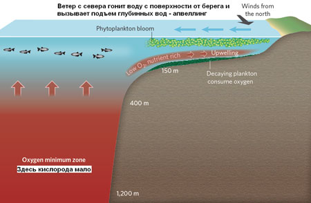 Апвеллинг