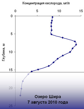 Концентрация кислорода в Шира