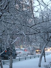 зима в нашем городе